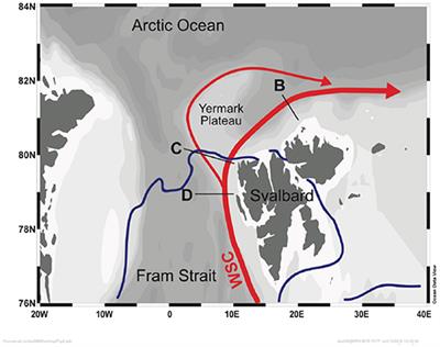 Editorial: Carbon Bridge to the Arctic